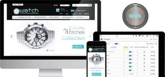Silver E-Commerce Website